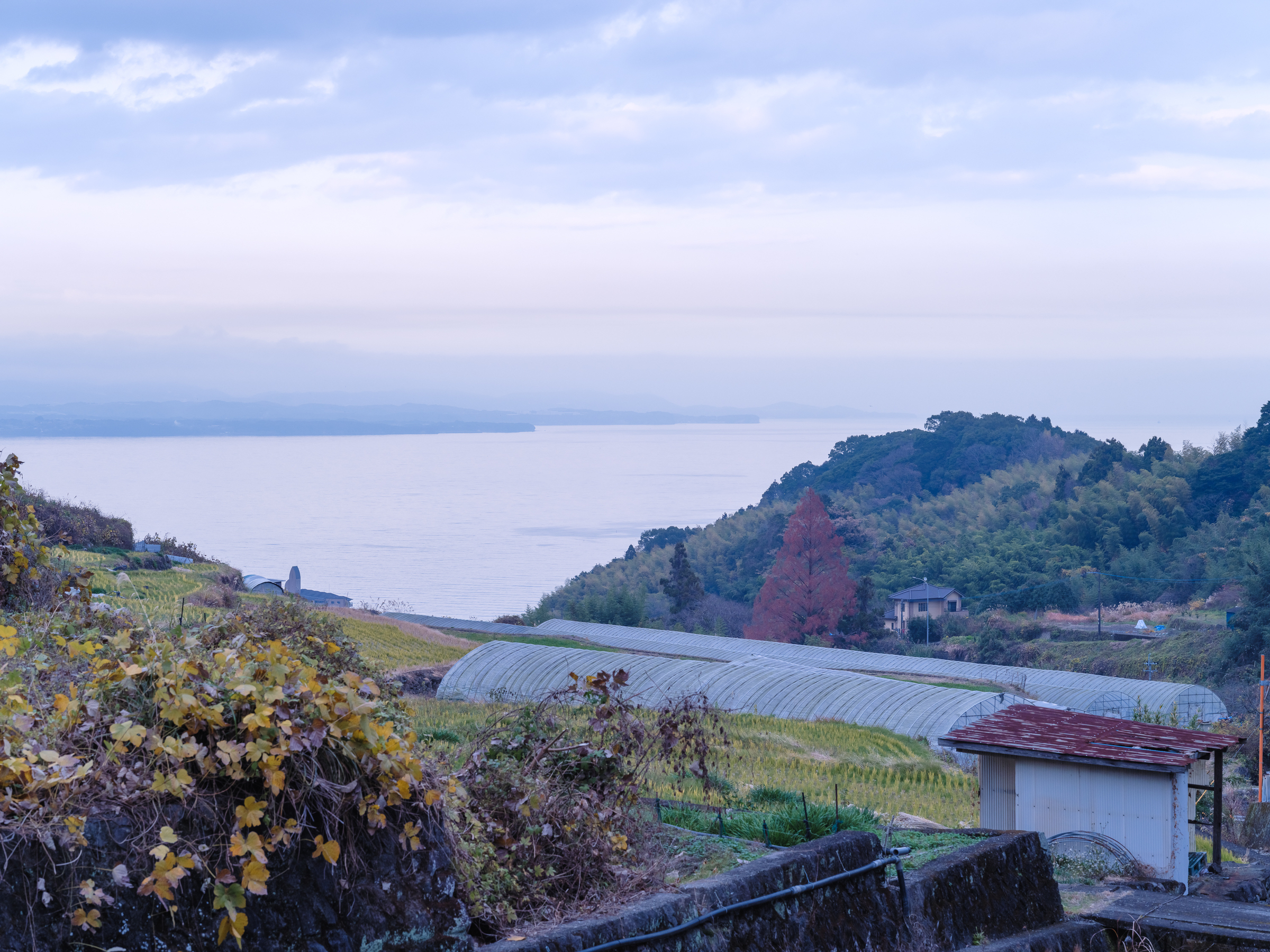 柳・隠山（やなぎ・かくれやま）エリア